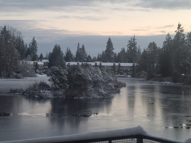 Photo - 323 75th St SE Condo