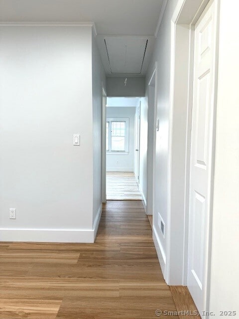 Photo - 95 Horace St Unit 2