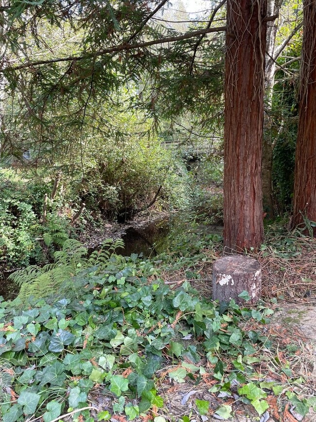 Photo - Cozy Bayside Cottage Tier 2