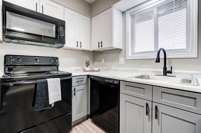 2 Bed | 1 Bath Kitchen - Black Pine Flats Apartments