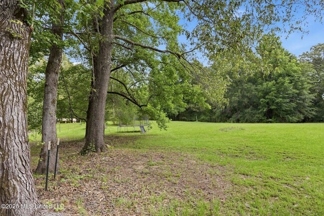 Photo - 2115 Byron Paul Ln