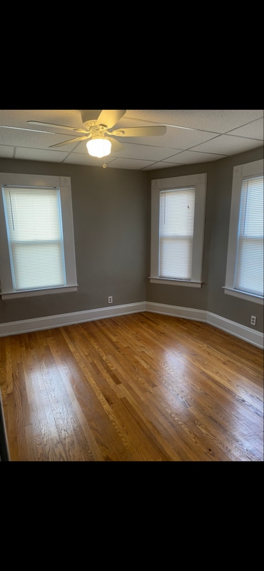 Photo - 42 Baldwin St