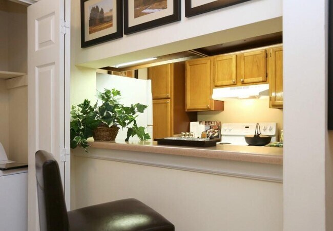 3450 Jones Mill Rd Unit 0705