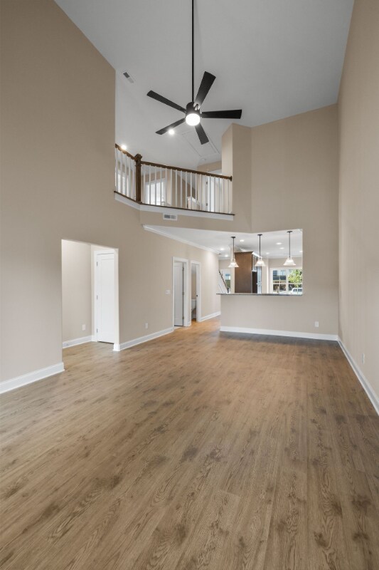 Photo - 1908 Gracie Bug Lp