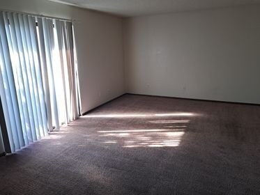 Living Room-Patio Door