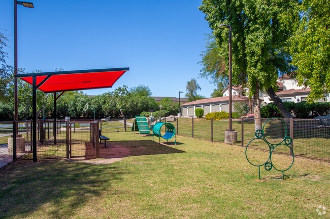 Dog Park