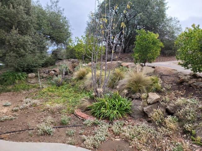 Photo - 4209 Alpine Blvd