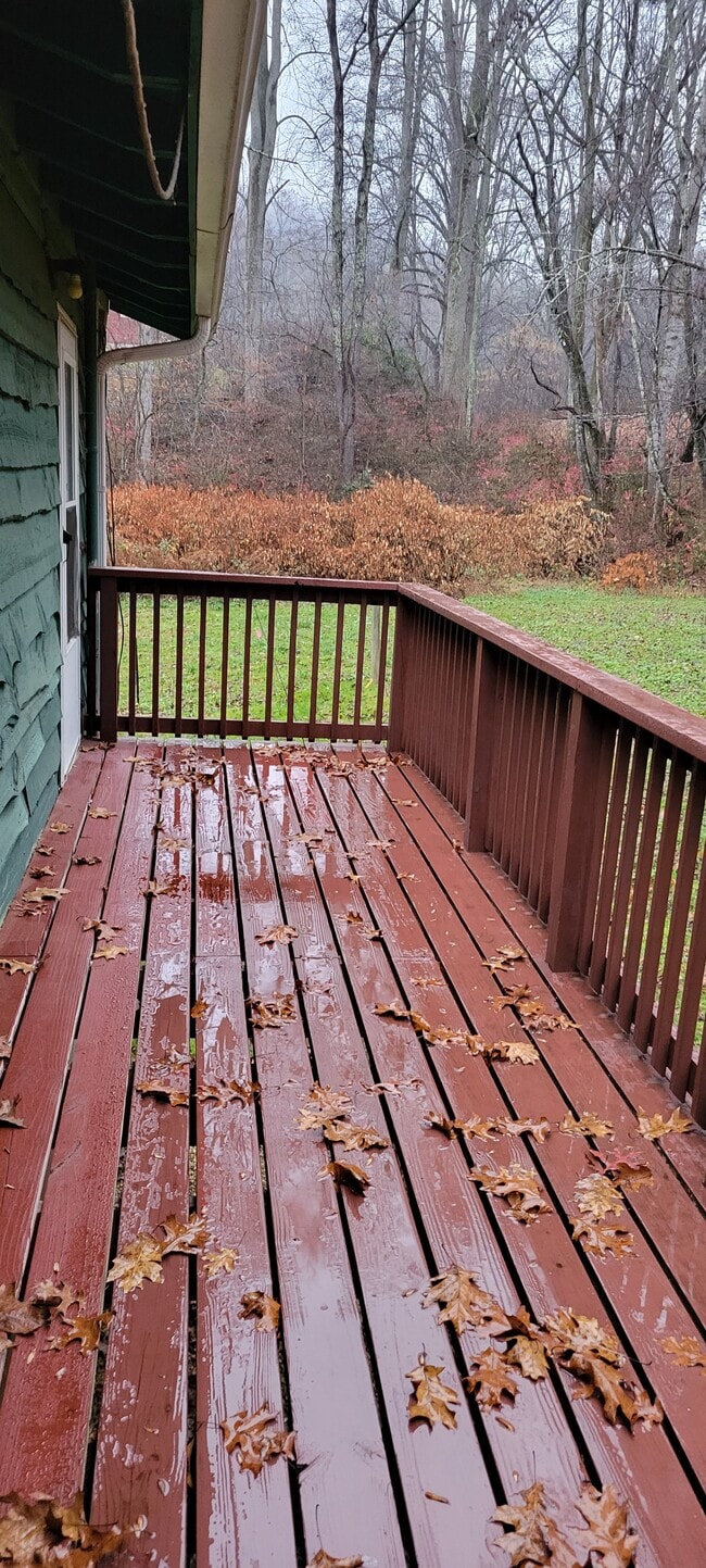 Photo - 491 Old Balsam Rd