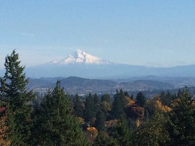 Expansive View from Large Covered Deck - 45 Eagle Crest Dr