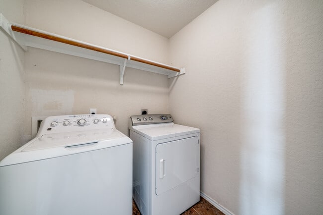 Photo - 3125 Muntjac