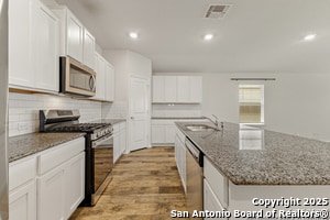 Photo - 919 Brown Thrasher