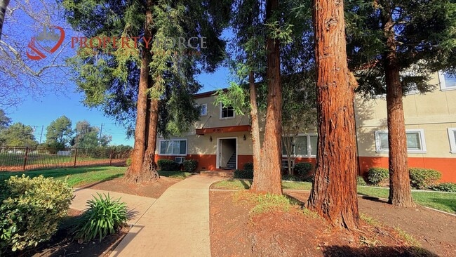 Photo - Remodeled Santa Clara Condo | 3BR/2BA + 2 Parking – OFFERED BY PROPERTY FORCE, INC.