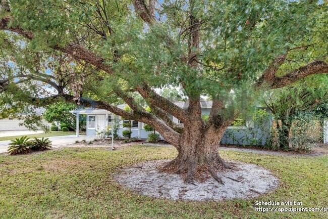 Photo - 803 Ellendale Dr