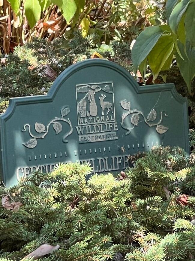 Photo - 123 Gould Ave