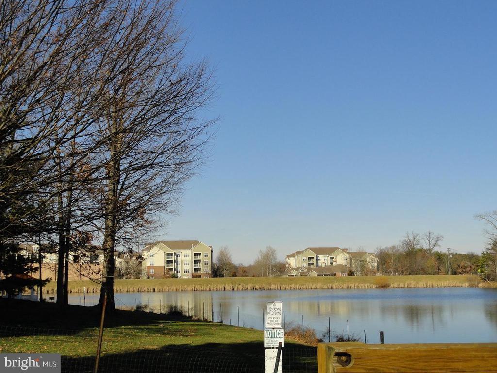 Photo - 1720 Lake Shore Crest Dr Unidad 13
