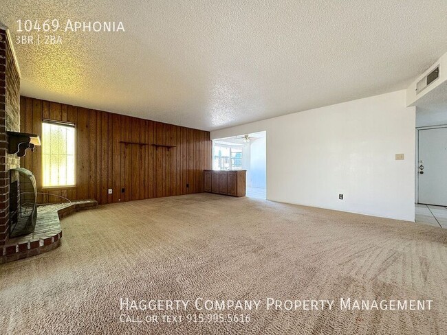 Photo - 10469 Aphonia-