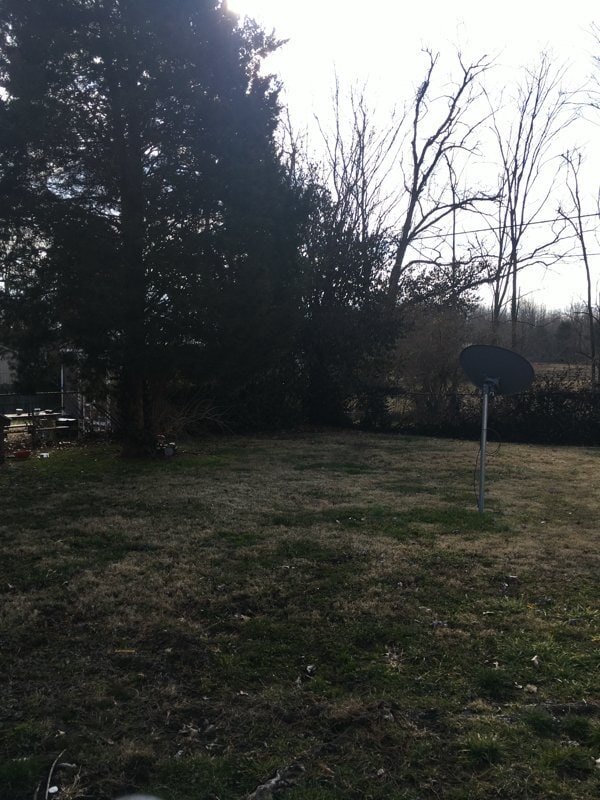 Photo - 3608 Ripple Creek Dr