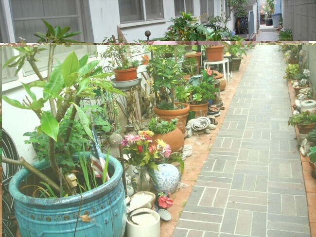 walkway to unit