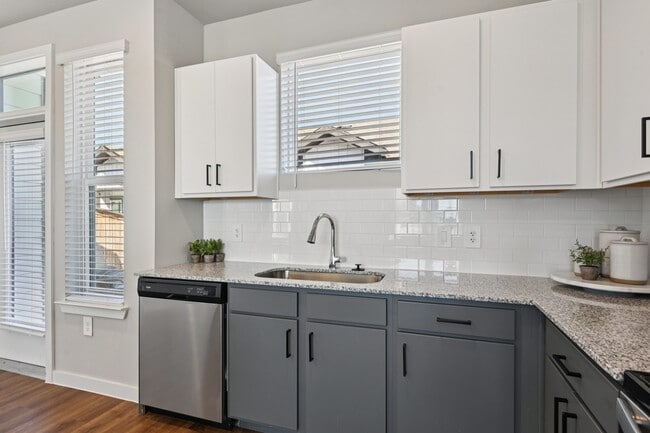 Photo - Skye at Chisholm Trail