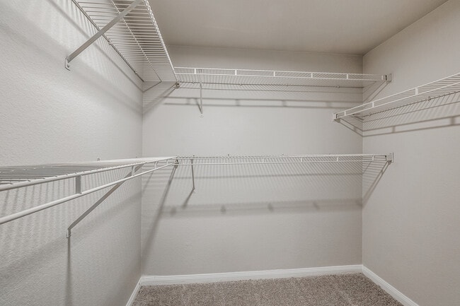 Photo - Infinity on the Mark