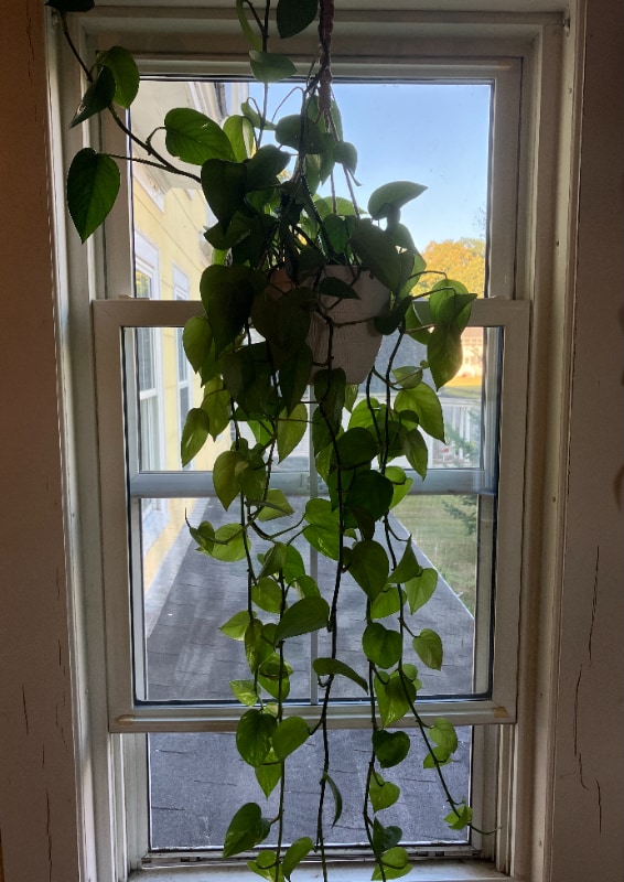 Photo - 38 West St Apartamento Unidad 1