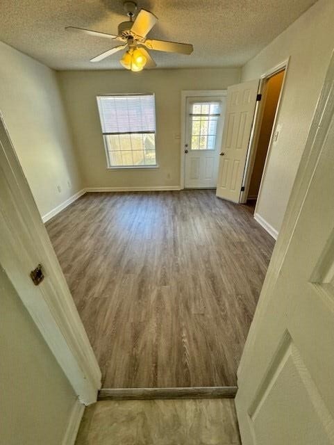 Photo - 2820 Saw Palmetto Ln