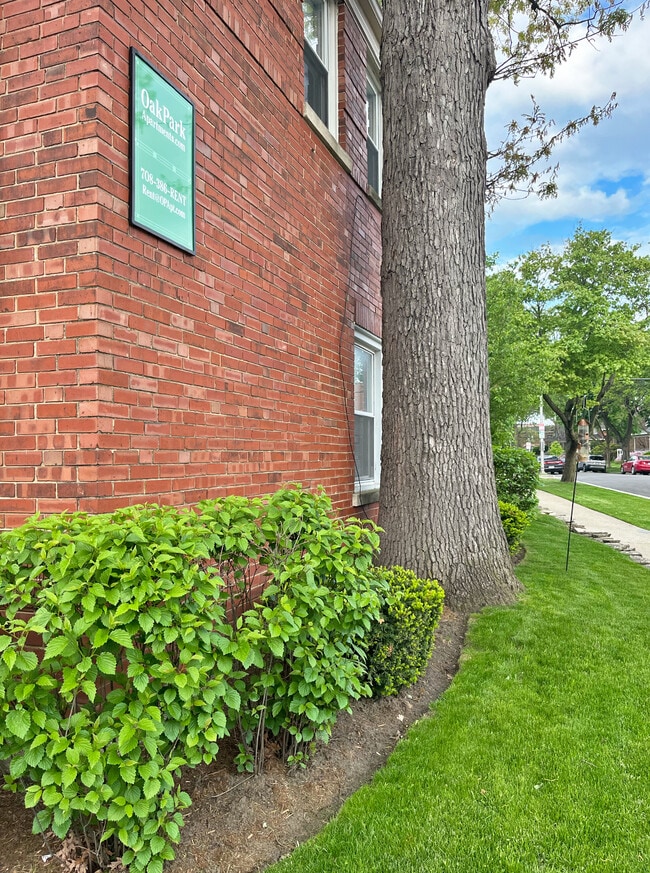 527-533 Des Plaines Ave. and 7624-7626 Wilcox