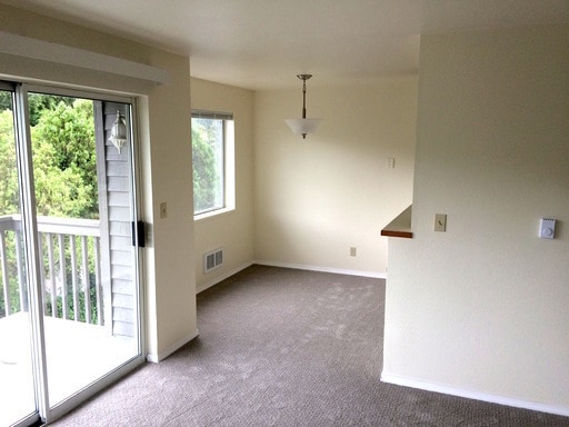 12334 33rd Ave NE Unit 101