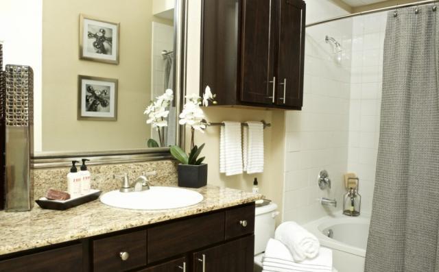 Photo - 1 bedroom in San Antonio TX 78258 Unit # 24