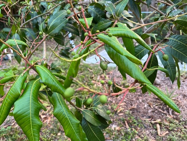 Photo - 2714 Grove St