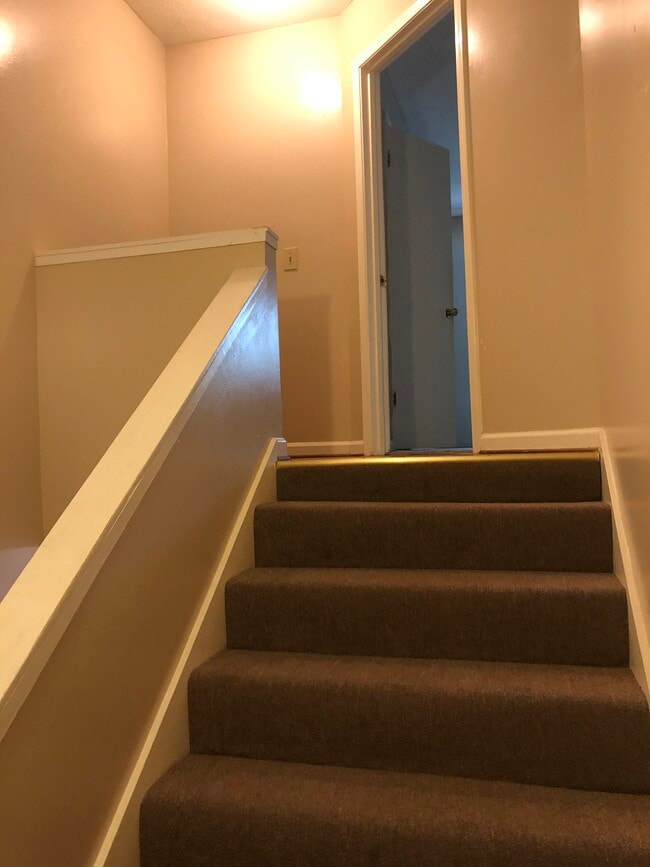 Photo - The Domain On Donahue