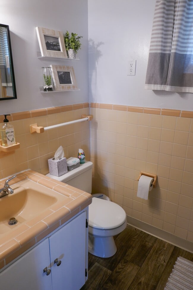 Retro bathroom in excellent condition - 803 Hillview Heights Unit Apt 205