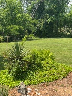 Photo - 424 Alverson Rd