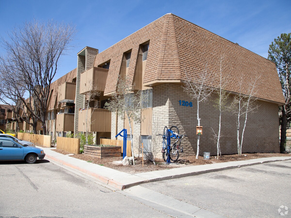 Photo - Mountain Sun