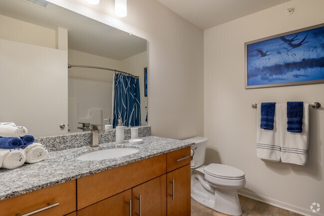 2BR, 1BA - 960SF - Bathroom