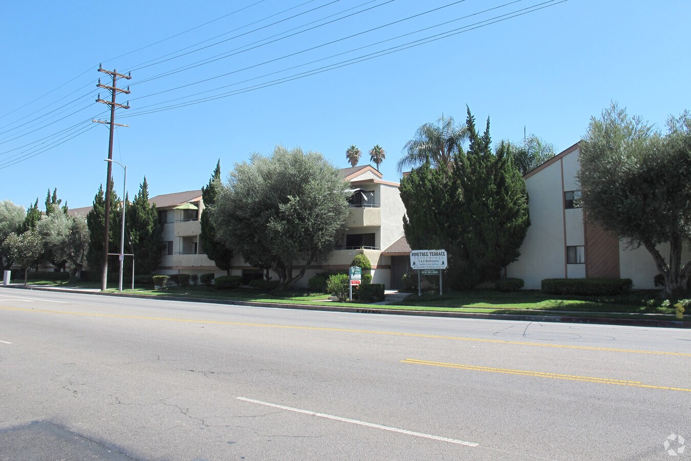 Pine Tree Terrace - Pine Tree Terrace Apartments