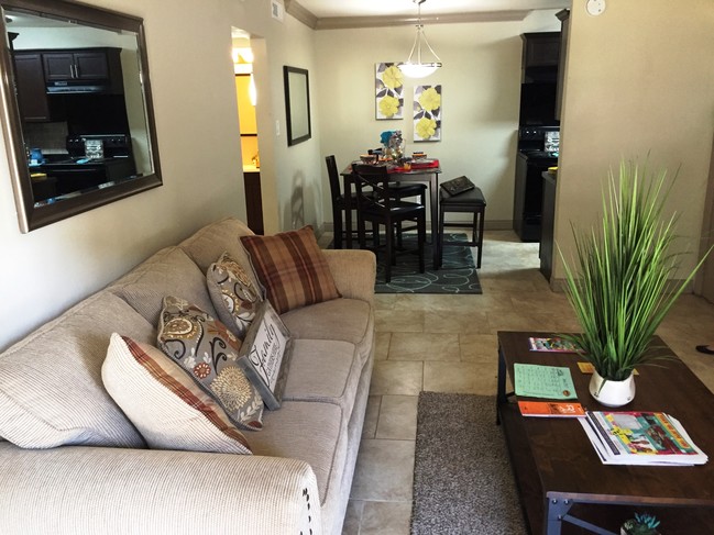 Photo - Spanish Willows