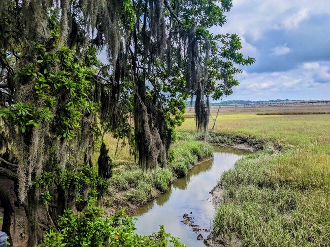 Marsh Cove