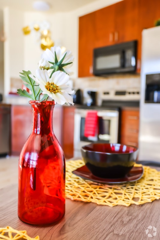 State University OffCampus Housing & Apartments