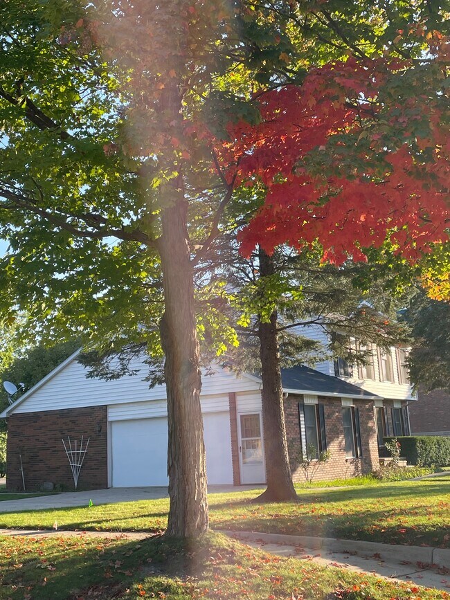 Photo - 7209 Main St