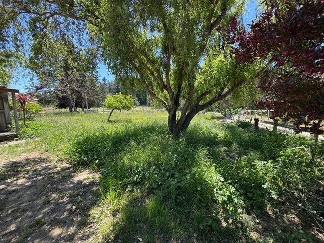 Photo - Peaceful Country Living