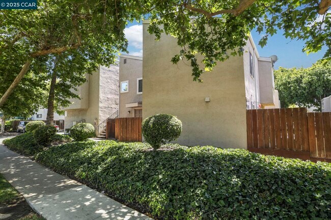 Building Photo - 3712 Willow Pass Rd Unit 32 Rental