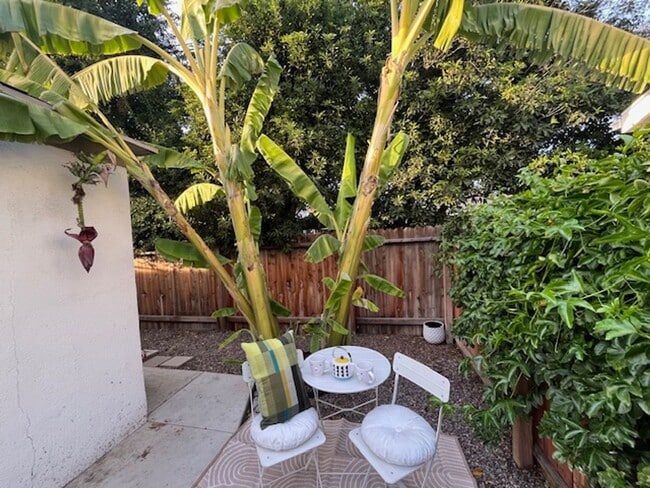 Building Photo - 4773 Sierra St Unit 2