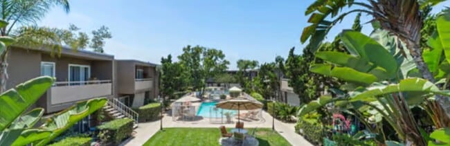 Building Photo - 1 Bedroom Apartment for Rent in Lemon Grove Unit Olive Tree Apartments