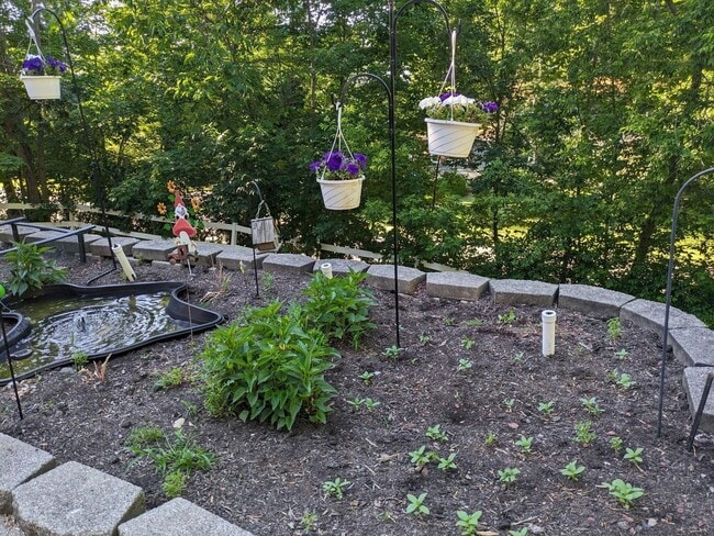 Photo - 21225 Mary Lynn Dr