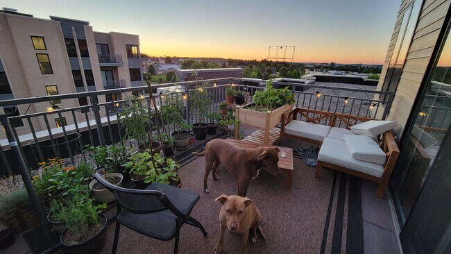 Upstairs Balcony - 8328 Globe Dr Apartment Unit 306