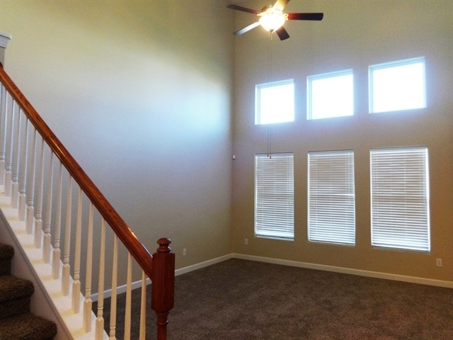 Photo - 1009 Turtle Dove Ln