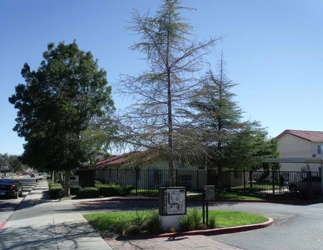 Photo - Vintage Woods