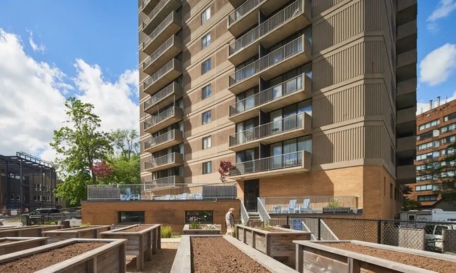 Photo - Spring Garden