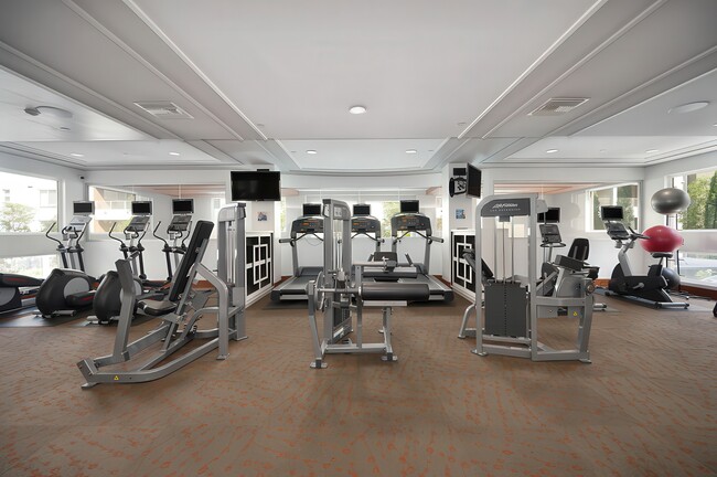 The Vivere Lofts